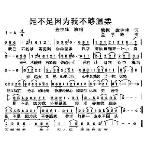 是不是因为我不够温柔_通俗唱法乐谱_词曲:晓枫 金学峰 金学峰