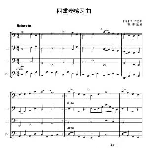 四重奏练习曲 大提琴四重奏 李李改编 伦堡