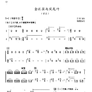 葫芦丝谱 | 金孔雀与凤尾竹 重奏 赵家寅曲 周成龙编曲