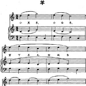 羊 钢琴谱