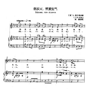 你发火,就爱生气 意大利 _外国歌谱_词曲: 意 G.柏伐莱西