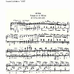 Sonata in A Minor D.537 钢琴谱