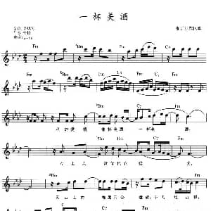 电子琴谱 | 一杯美酒 弹唱谱
