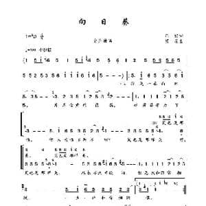 向日葵_歌曲简谱_词曲:庄奴 汤尼
