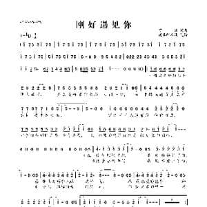 刚好遇见你_歌曲简谱_词曲:可泽 可泽