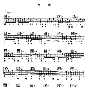 海鸥 吉他谱