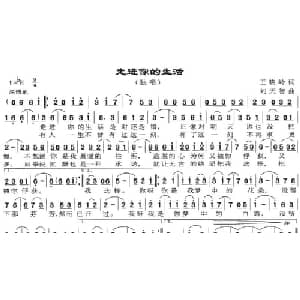 走进你的生活_通俗唱法乐谱_词曲:王晓岭 刘天智