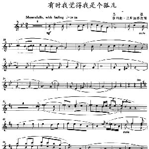 有时我觉得我是个孤儿 小号 唐纳德 汉斯伯格改编