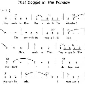 That Doggie In The Window 美国 _外国歌谱