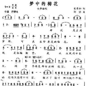 梦中的梅花_民歌简谱_词曲:宋青松 邹坚