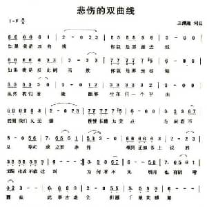 悲伤的双曲线_通俗唱法乐谱_词曲:王渊超 王渊超