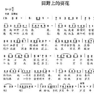 田野上的葵花_民歌简谱_词曲:张文忠 晏敏敏