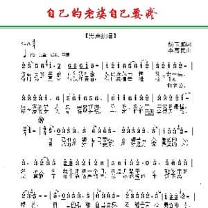 自己的老婆自己要疼_歌曲简谱_词曲:杨玉棚 李需民