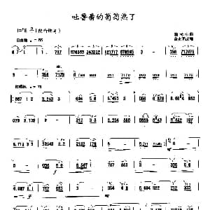 笛子谱 | 吐鲁番的葡萄熟了 施光南原曲 詹永明改编
