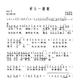 好大一颗树_歌谱投稿_词曲:邹友开 伍嘉冀