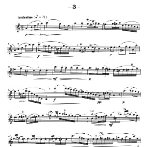 萨克斯谱 | 菲林萨克斯管练习曲 3 弗朗茨 威廉 费林原曲 李志远改编