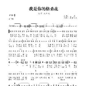 我是你的格桑花_歌曲简谱_词曲:王琪 王琪