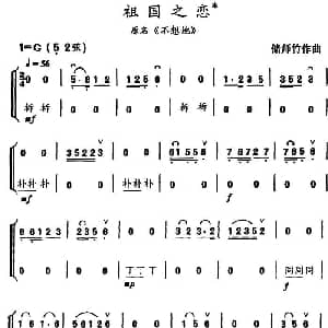 祖国之恋 原名 不想她 民乐合奏 储师竹