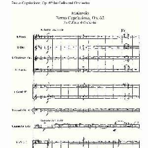 Pezzo Capriccioso, Op.62 大提琴与管弦乐