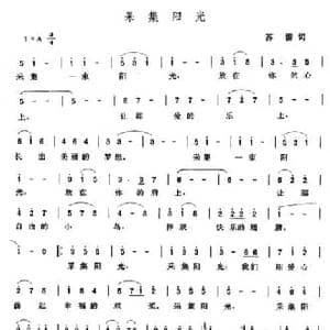 采集阳光_民歌简谱_词曲:苏柳 张玉晶