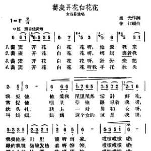 荞麦开花白花花_民歌简谱_词曲:旭光 曾江编曲