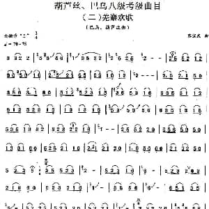 巴乌八级考级曲目 羌寨欢歌 张宝庆