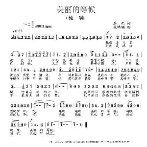 美丽的等候_通俗唱法乐谱_词曲:泰巴 段鹤聪