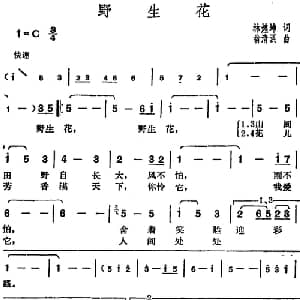 邓丽君演唱金曲 野生花_通俗唱法乐谱_词曲:林煌坤 翁清溪