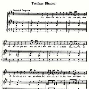 Trockne Blumen_外国歌谱