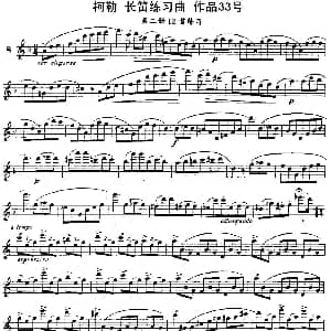 长笛曲谱 | 柯勒长笛练习曲作品33号 第二册 8 埃内斯托 柯勒 ERNESTO KOEHLER