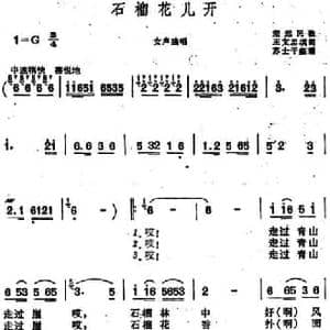 石榴花儿开 _民歌简谱_词曲:王文忠填词