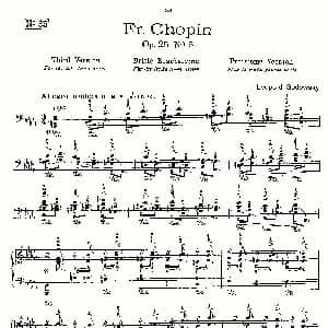 肖邦 练习曲 Fr.Chopin Op.25 No5 2 钢琴谱 Godowsky改编