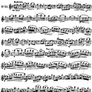 长笛曲谱 | 二十首练习曲作品131号 NO.15 Garibold 加里波第