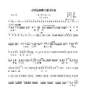 小苍娃我离了登封小县_歌曲简谱_词曲:李清芳 潘永长