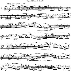 长笛曲谱 | 胡埃斯24首练习曲Op.32 NO.2 NO.3 Hughes 胡埃斯