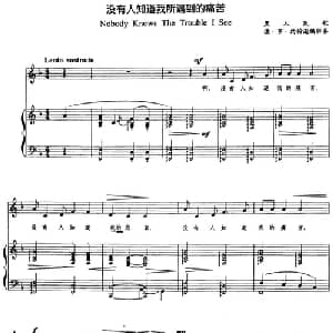 没有人知道我所遇到的痛苦_外国歌谱_词曲: 德 罗 约翰逊编伴奏