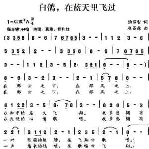 白鸽,在蓝天里飞过_民歌简谱_词曲:汤昭智 赵吕森
