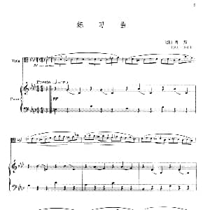 练习曲 中提琴独奏 钢琴伴奏 肖邦