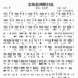 想你想到眼泪流_歌谱投稿_词曲:龙军 龙军
