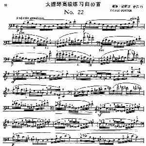 大提琴高级练习曲40首 No.22 戴维 波帕尔
