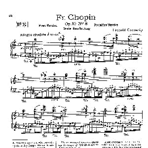 53首以肖邦练习曲为素材而作的练习曲 钢琴谱 里奥鲍尔德 戈多夫斯基