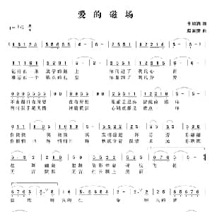 爱的磁场_通俗唱法乐谱_词曲:李朝润 赵国清
