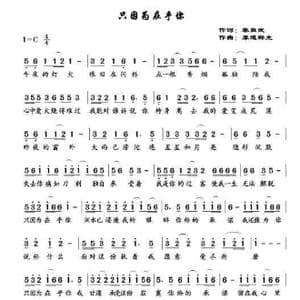 只因在乎你_歌谱投稿_词曲:黎敦武 厚道群主