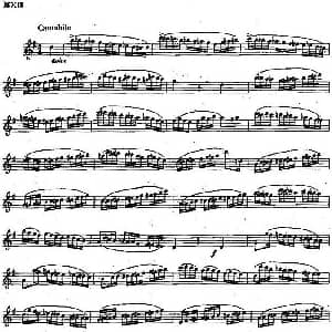 长笛曲谱 | 长笛练习曲100课之第70课 半音阶练习曲