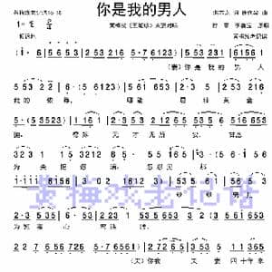 你是我的男人_歌曲简谱_词曲:湛志龙 徐代泉