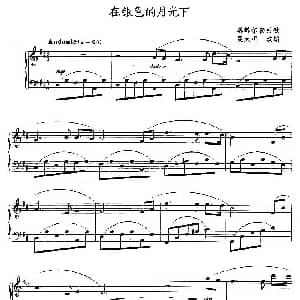 在银色的月光下 钢琴谱 吴大明 改编