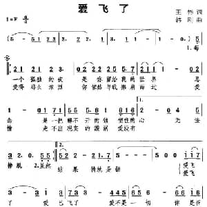 爱飞了_通俗唱法乐谱_词曲:王彬 韩刚