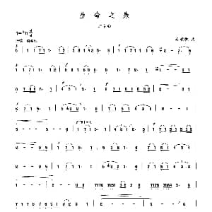 二胡谱 | 生命之泉 晏敏敏