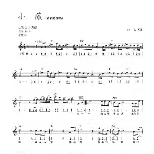 电子琴谱 | 小薇 线简混排弹唱谱 佚名 佚名