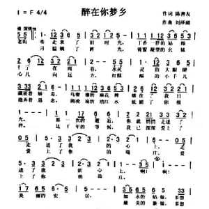 醉在你梦乡_歌曲简谱_词曲:陈善友 刘泽湖
